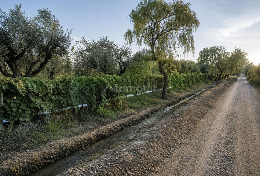 Finca en Venta en Maipu, Mendoza