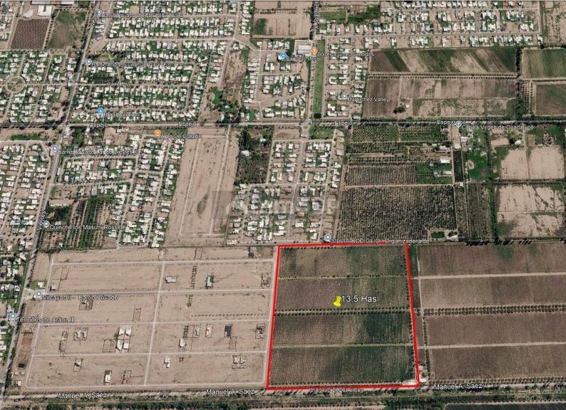 Finca en Venta en Maipu, Mendoza