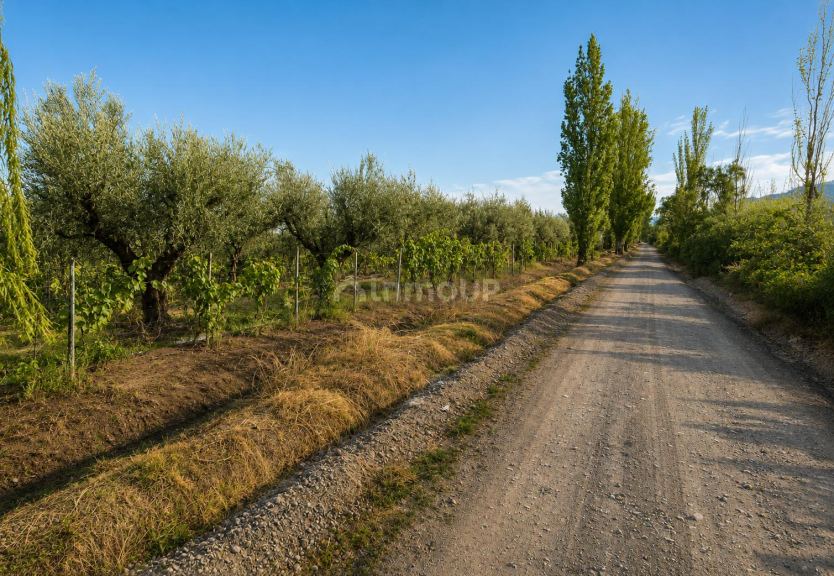 Finca en Venta en Maipu, Mendoza