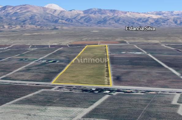 Finca en Venta en Tupungato, Mendoza