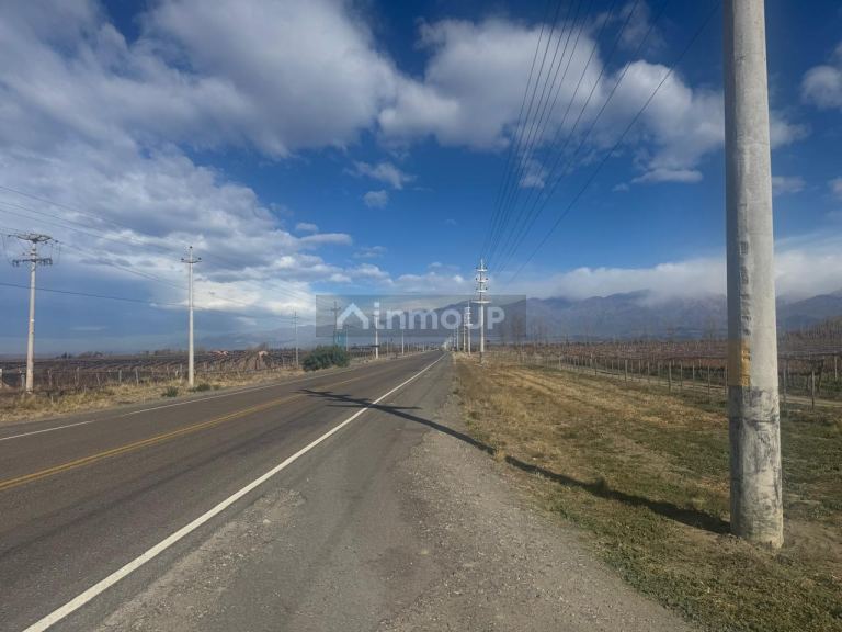 Finca en Venta en Tupungato, Mendoza