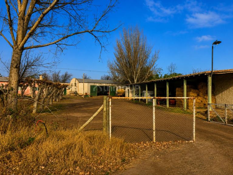 Finca en Venta en San Martin, Mendoza