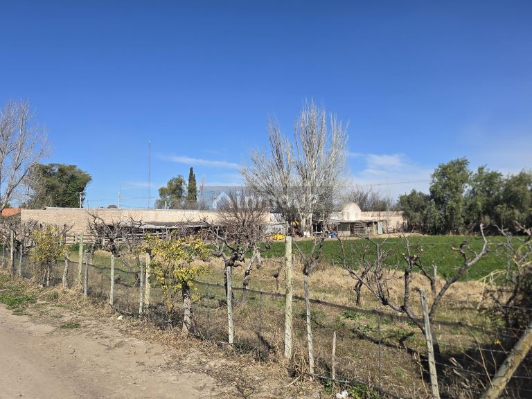 Finca en Venta en San Martin, Mendoza - USD 700.000 | Inmoup - 17