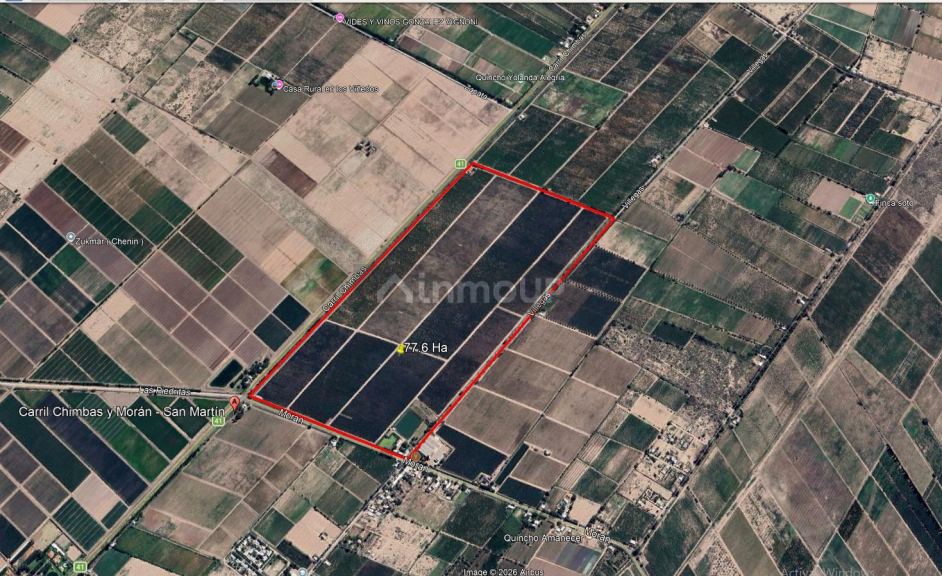 Finca en Venta en San Martin, Mendoza