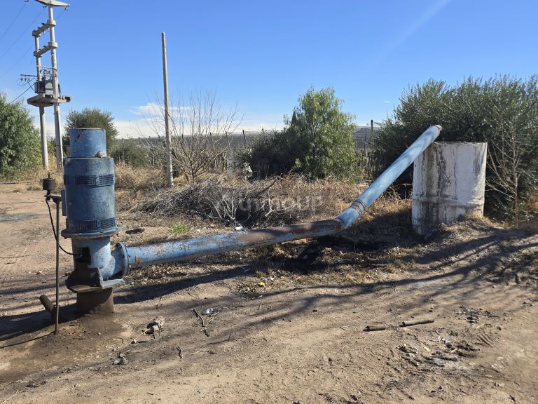 Finca en Venta en San Martin, Mendoza - USD 700.000 | Inmoup - 19