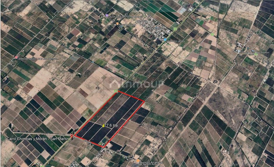 Finca en Venta en San Martin, Mendoza
