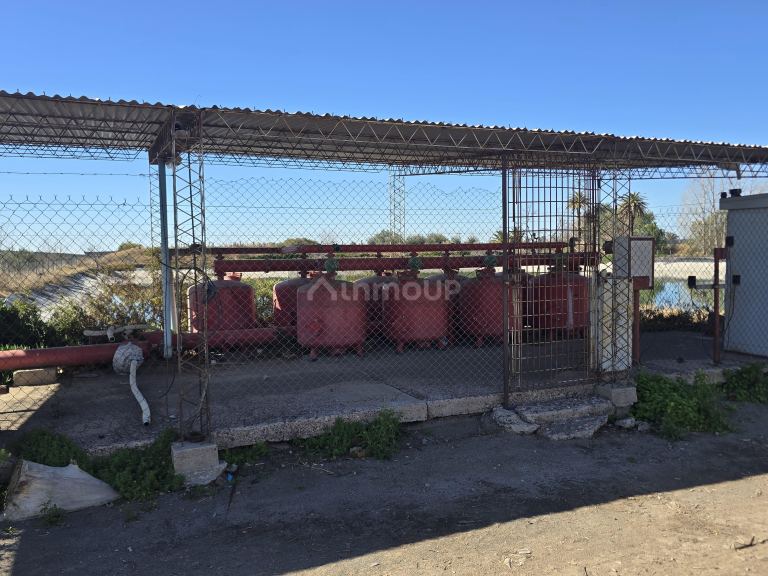 Finca en Venta en San Martin, Mendoza - USD 700.000 | Inmoup - 24
