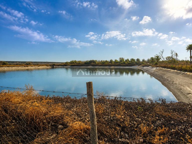 Finca en Venta en San Martin, Mendoza