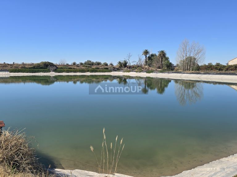 Finca en Venta en San Martin, Mendoza - USD 700.000 | Inmoup - 16