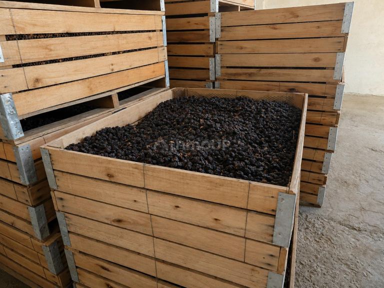 Galpon en Venta en Guaymallen, Mendoza