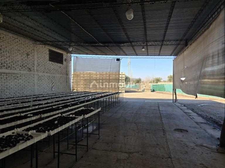 Galpon en Venta en Guaymallen, Mendoza