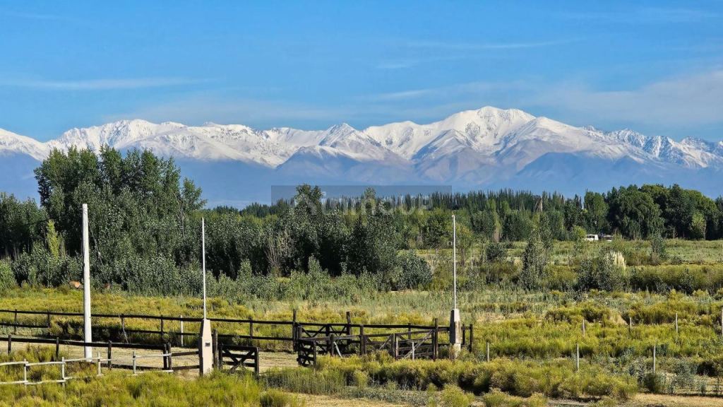 Casa en Venta en Tunuyan, Mendoza