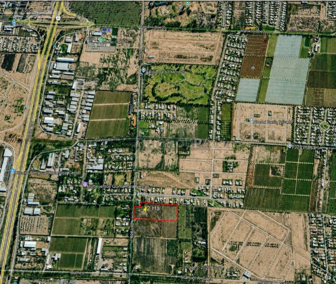 Finca en Venta en Lujan de Cuyo, Mendoza