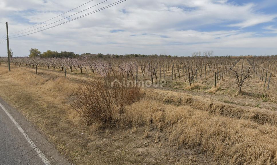 Finca en Venta en Rivadavia, Mendoza