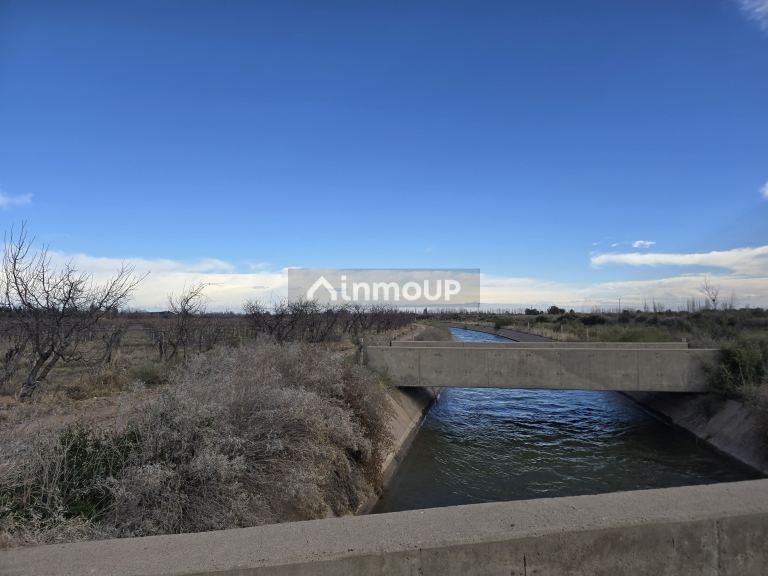 Finca en Venta en Rivadavia, Mendoza