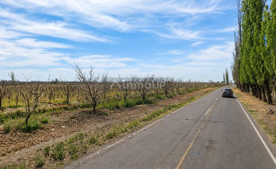 Finca en Venta en Rivadavia, Mendoza