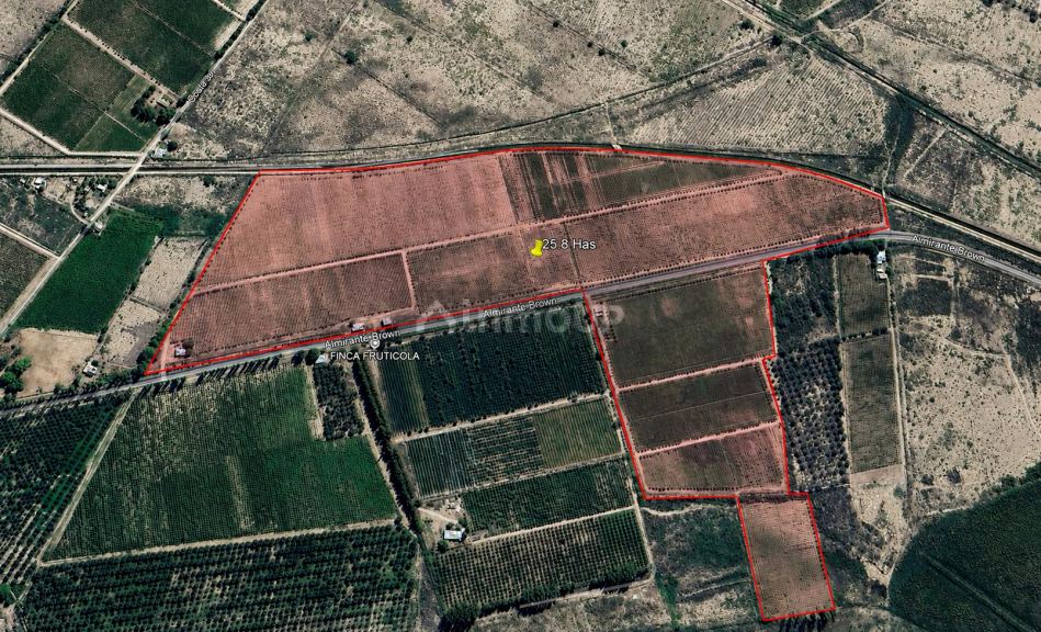 Finca en Venta en Rivadavia, Mendoza