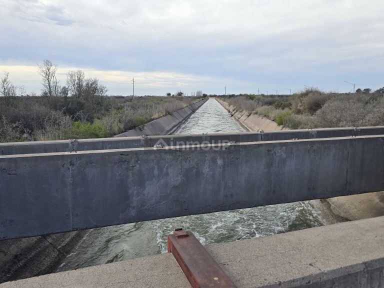 Finca en Venta en Rivadavia, Mendoza