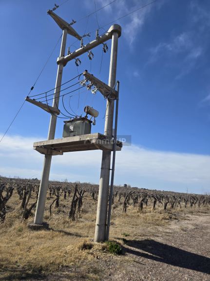 Finca en Venta en Rivadavia, Mendoza