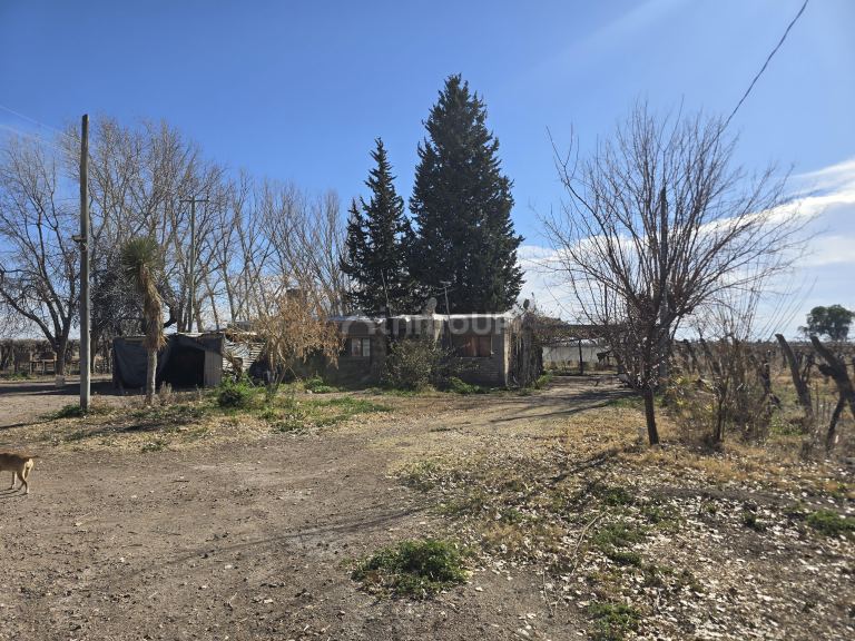 Finca en Venta en Rivadavia, Mendoza