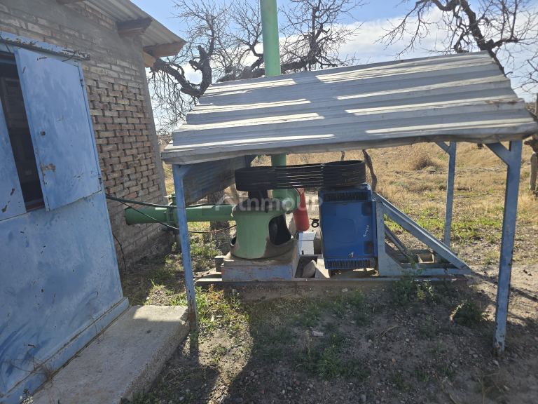 Finca en Venta en Rivadavia, Mendoza