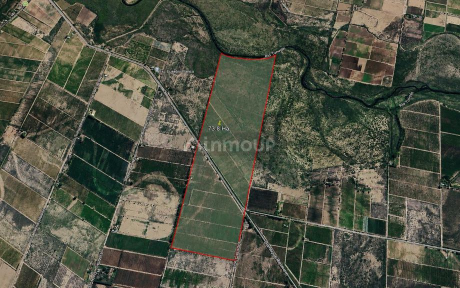 Finca en Venta en Rivadavia, Mendoza