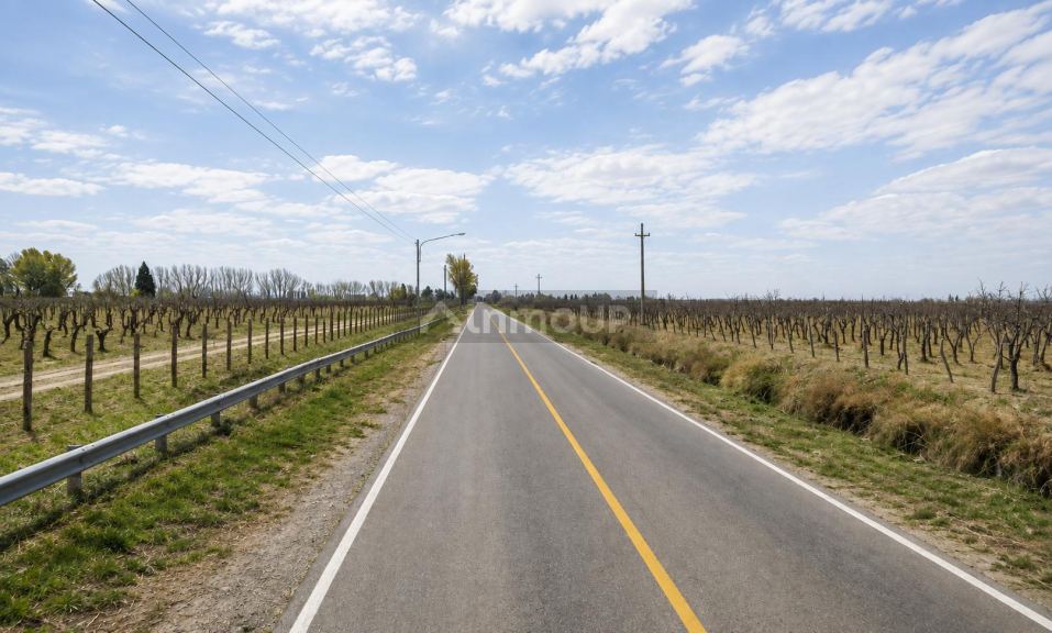 Finca en Venta en Rivadavia, Mendoza
