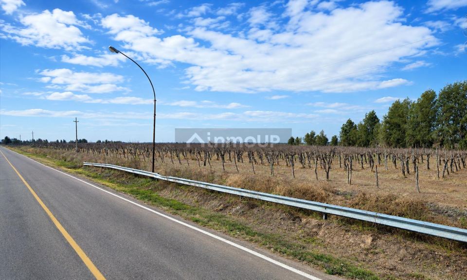 Finca en Venta en Rivadavia, Mendoza
