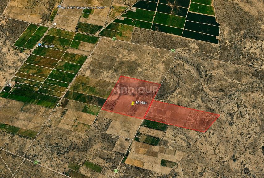Finca en Venta en Santa Rosa, Mendoza