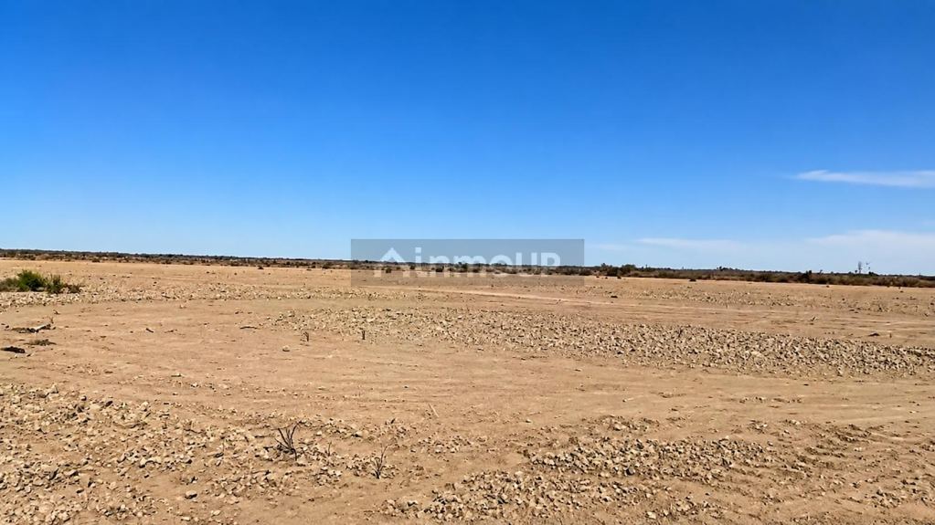 Santa Rosa 80.6 Has (o la mitad) con dos pozos