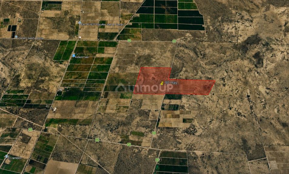 Finca en Venta en Santa Rosa, Mendoza