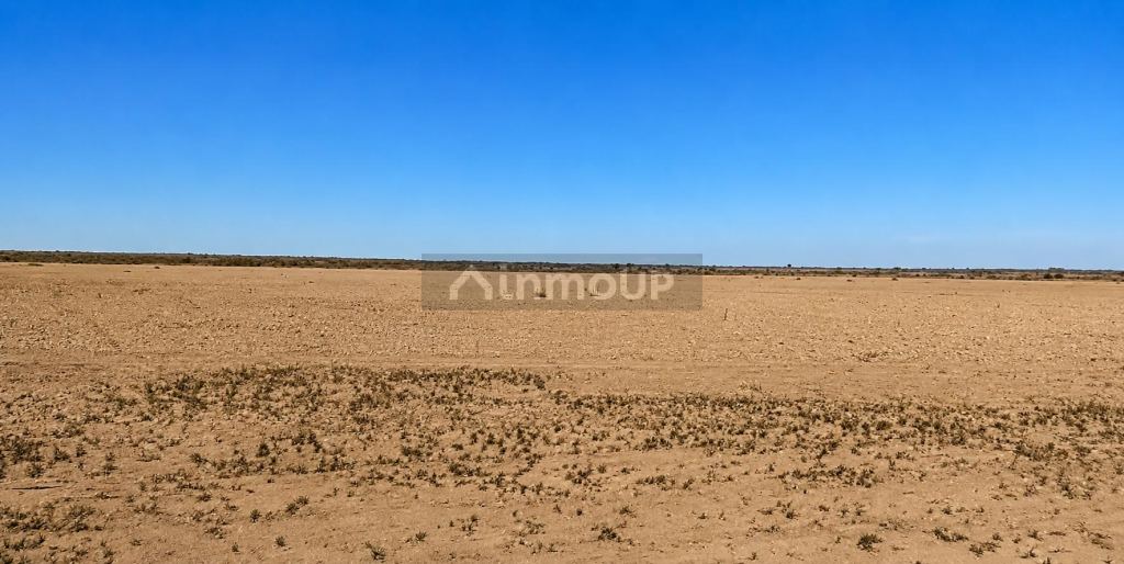 Santa Rosa 80.6 Has (o la mitad) con dos pozos