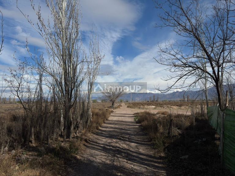 Finca en Venta en Lujan de Cuyo, Mendoza - USD 792.000 | Inmoup - 24