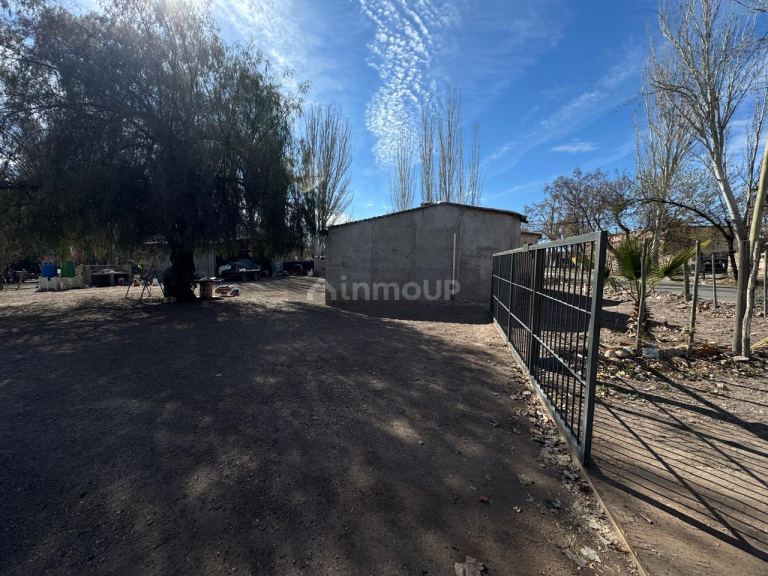 Finca en Venta en Lujan de Cuyo, Mendoza - USD 792.000 | Inmoup - 8