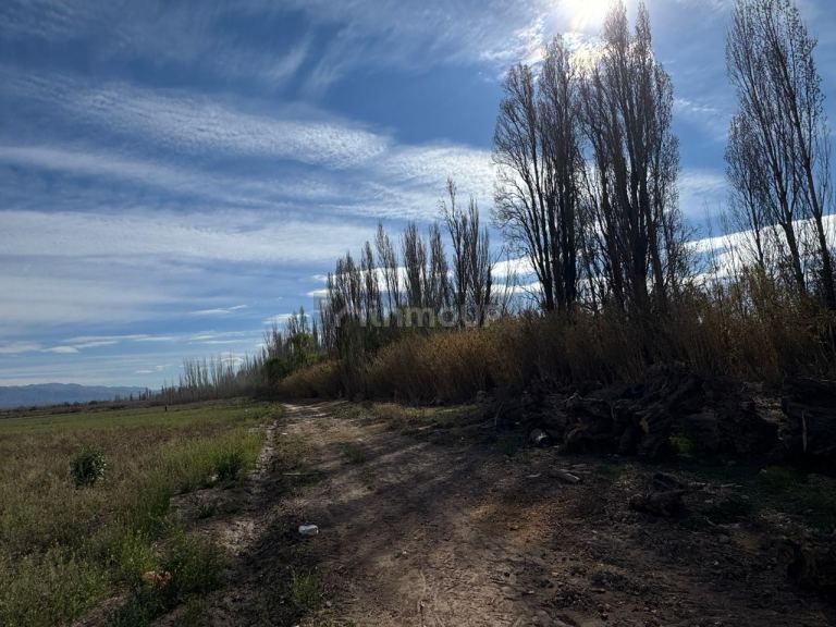 Finca en Venta en Lujan de Cuyo, Mendoza - USD 792.000 | Inmoup - 15