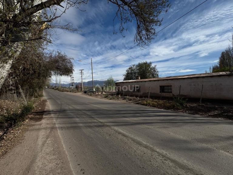 Finca en Venta en Lujan de Cuyo, Mendoza - USD 792.000 | Inmoup - 12