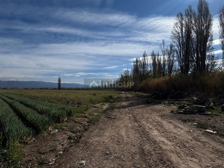 Finca en Venta en Lujan de Cuyo, Mendoza - USD 792.000 | Inmoup - 14