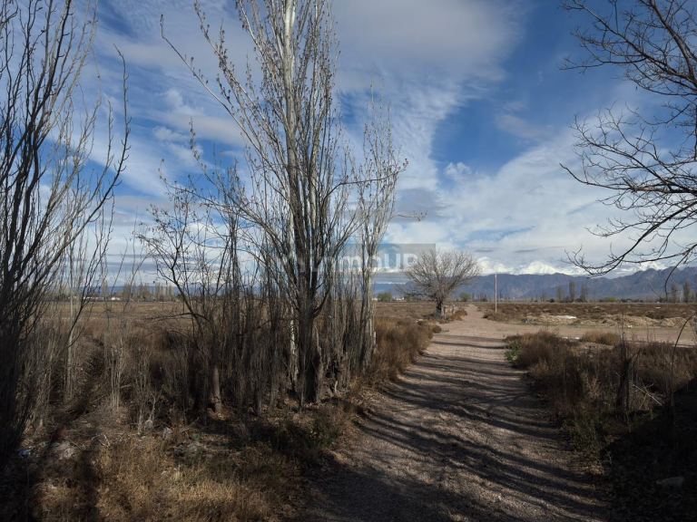 Finca en Venta en Lujan de Cuyo, Mendoza - USD 792.000 | Inmoup - 23