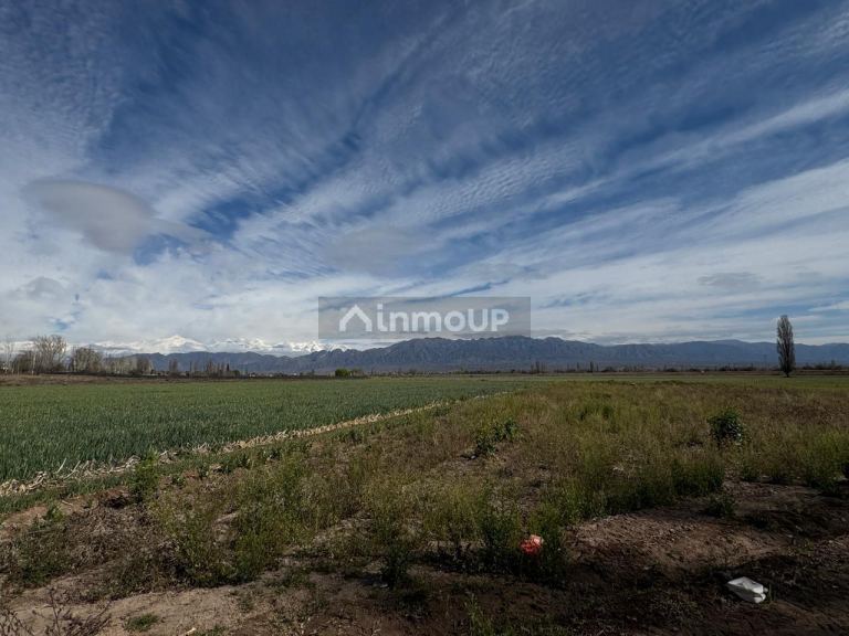 Finca en Venta en Lujan de Cuyo, Mendoza - USD 792.000 | Inmoup - 17
