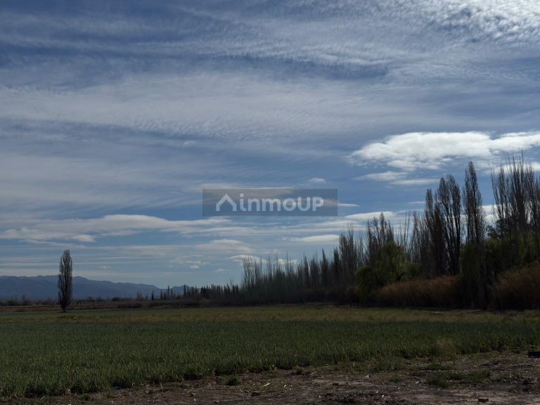 Finca en Venta en Lujan de Cuyo, Mendoza - USD 792.000 | Inmoup - 6