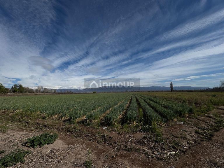 Finca en Venta en Lujan de Cuyo, Mendoza - USD 792.000 | Inmoup - 20