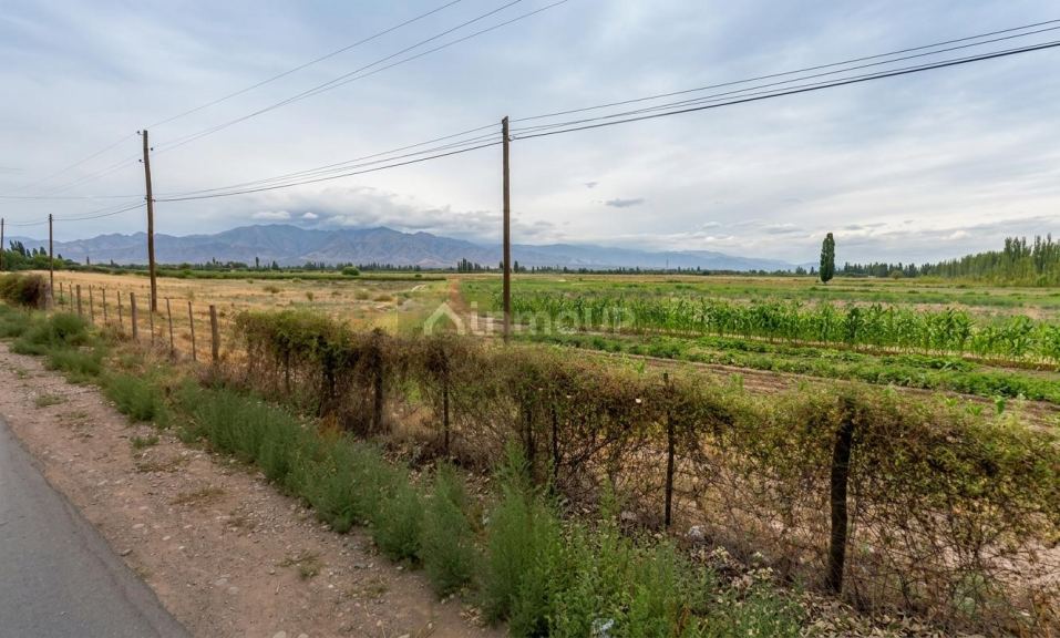 Finca en Venta en Lujan de Cuyo, Mendoza - USD 792.000 | Inmoup - 18