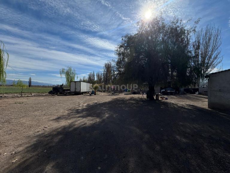 Finca en Venta en Lujan de Cuyo, Mendoza - USD 792.000 | Inmoup - 9