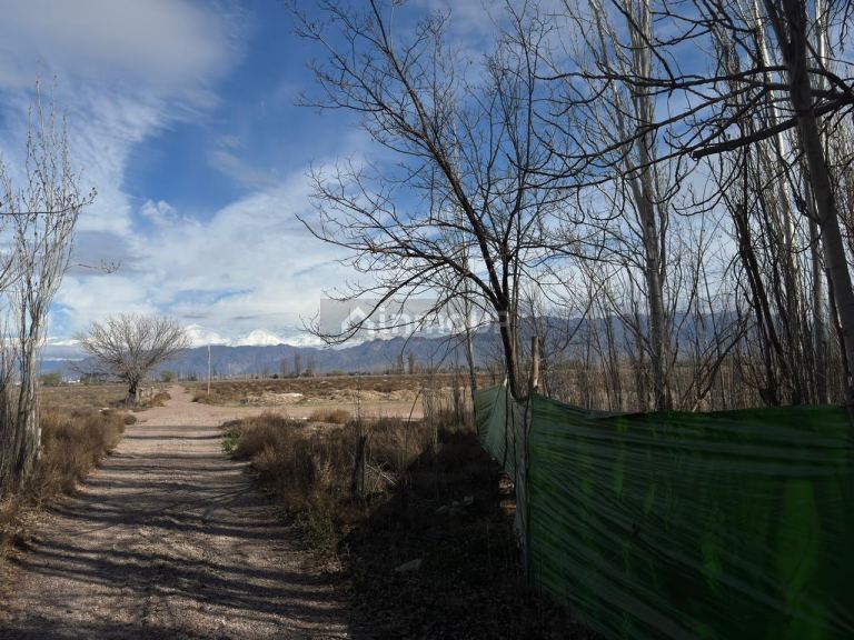Finca en Venta en Lujan de Cuyo, Mendoza - USD 792.000 | Inmoup - 25