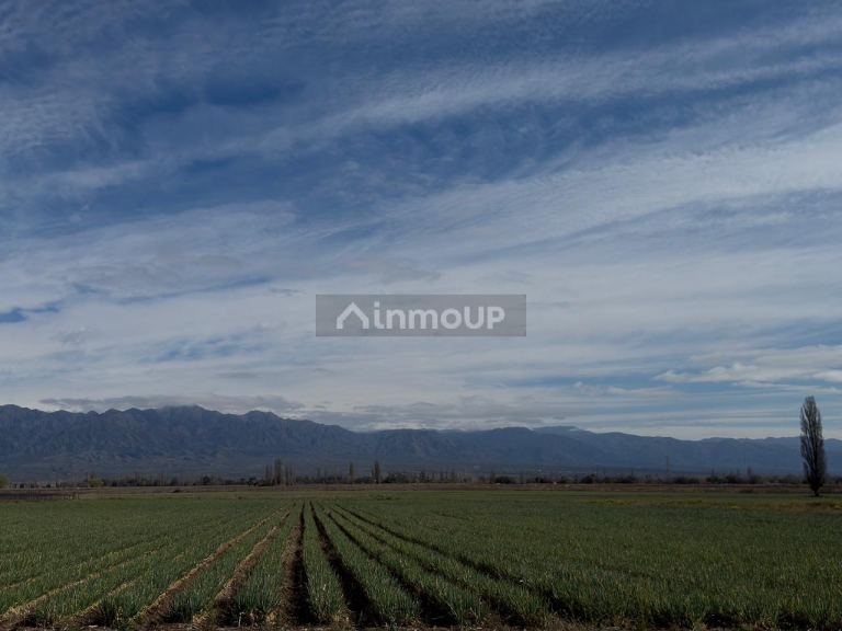 Finca en Venta en Lujan de Cuyo, Mendoza - USD 792.000 | Inmoup - 19