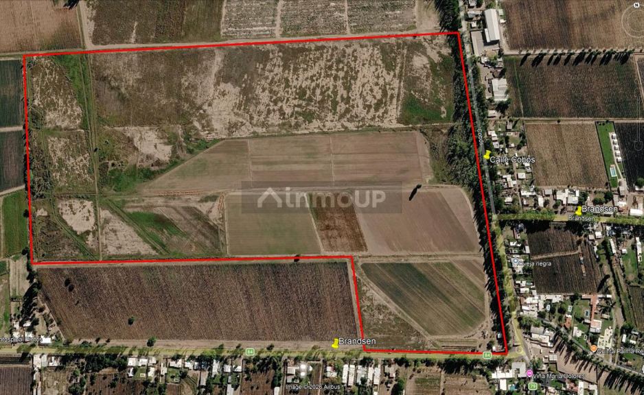 Lujan de Cuyo 36 Has. en Brandsen & Cobos, Perdriel