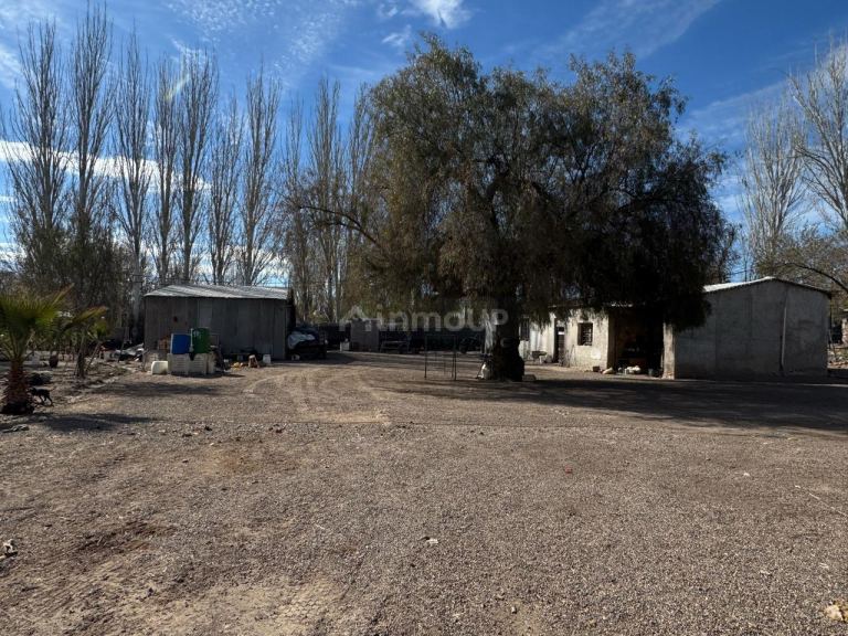 Finca en Venta en Lujan de Cuyo, Mendoza - USD 792.000 | Inmoup - 10