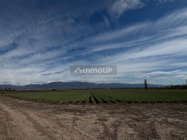 Finca en Venta en Lujan de Cuyo, Mendoza - USD 792.000 | Inmoup - 21