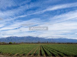 Lujan de Cuyo 36 Has. en Brandsen & Cobos, Perdriel