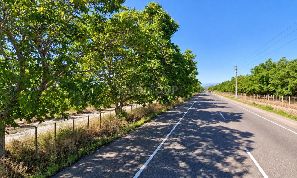 Finca en Venta en Tupungato, Mendoza
